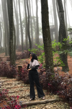 hutan pinus mangunan